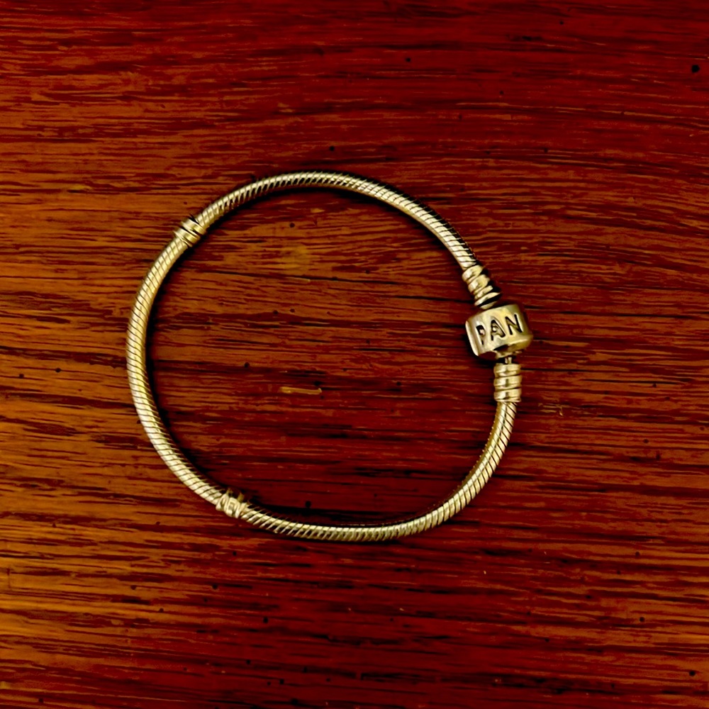 Authentic PANDORA Starter Charm Bracelet